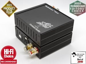 2 x Starkrimson Monoblock Amp